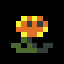 The Sunflower