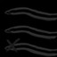 Shore are good at Eel-minno-nation