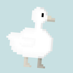 Quack! Error!