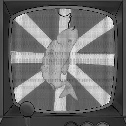 No More Fish