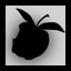 FRUIT COLLECTOR