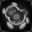 Infected agent