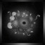 Genetrix