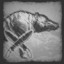 Dog-hog hunt