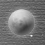 The Broken Moon