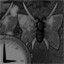 Jungle Time Trial