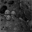 Splitting Asteroids