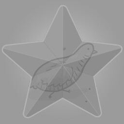 All Stars on Easy