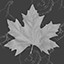 Let the leaves hit the floor