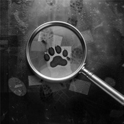 Key clue