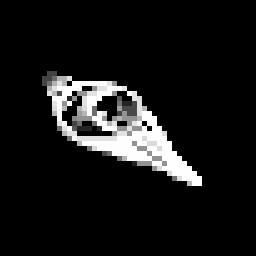 Spacefarer