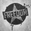 Freedom Singleplayer Gold Medal