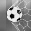 Road to the world cup