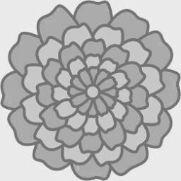 Marigold