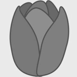 Tulip 4