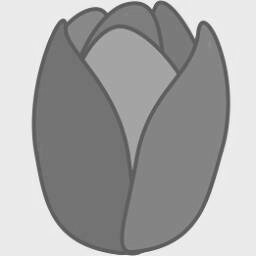 Tulip 3