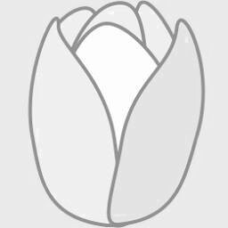 Tulip 1