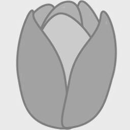 Tulip 2