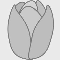 Tulip 5