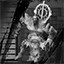 Entity Library