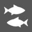 Gone Fishing