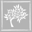 The Olive Grove