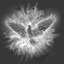 Why are they fire birds appearing on my screen?