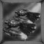 I've got the biggest tank! YAY!