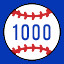 1000 Balls