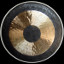 THE GONG SHOW