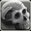 Golden Skull Collector