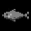 Master Fisherman