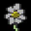 Florist
