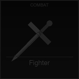 Fighter
