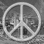 Struggle For Peace