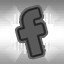 FaceBook Fanatic