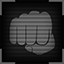 Fighter