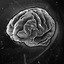 Sharp brain