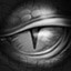 Sharp Eye