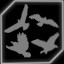 Pest Control