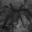 Killer spiders