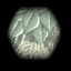 DISCOVER SECRET WORLD