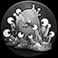 Check Out These Skins