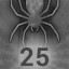 Spider Nuisance