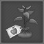Fruit growers union