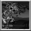 Complete Puzzle 3