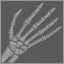 Skeleton Hands 
