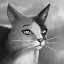 Purr-veillance 