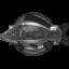 Muddy Waters catcher