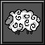 10 sheep